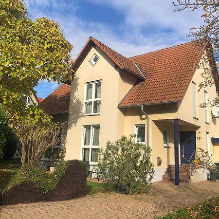Ferienwohnung Suedpfalz Mit Fernblick Bochingen Exterior foto